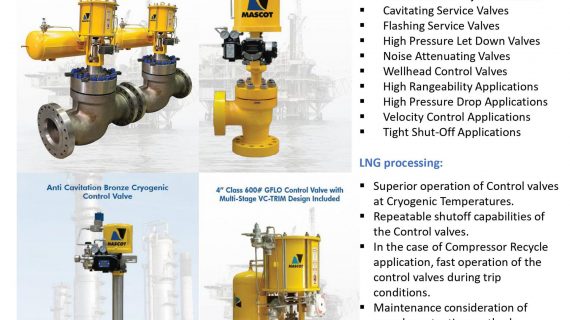 Supplier Control & Safety Valves Migas