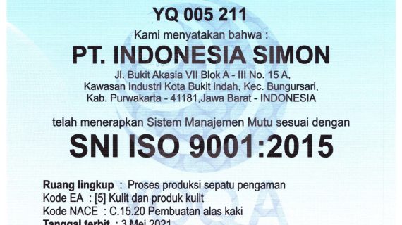 SIMON Safety Shoes
